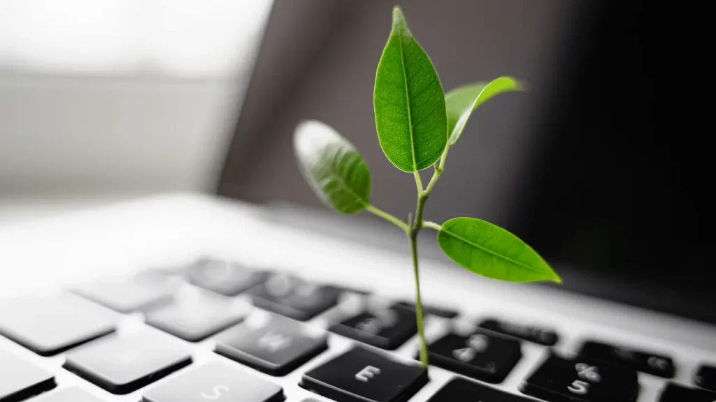 imagem de uma planta no meio de uma teclado de notebook.